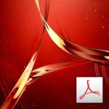 Adobe Acrobat Pro 11.0 TR Lisans