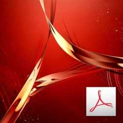 Adobe Acrobat Pro 11.0 ENG Lisans